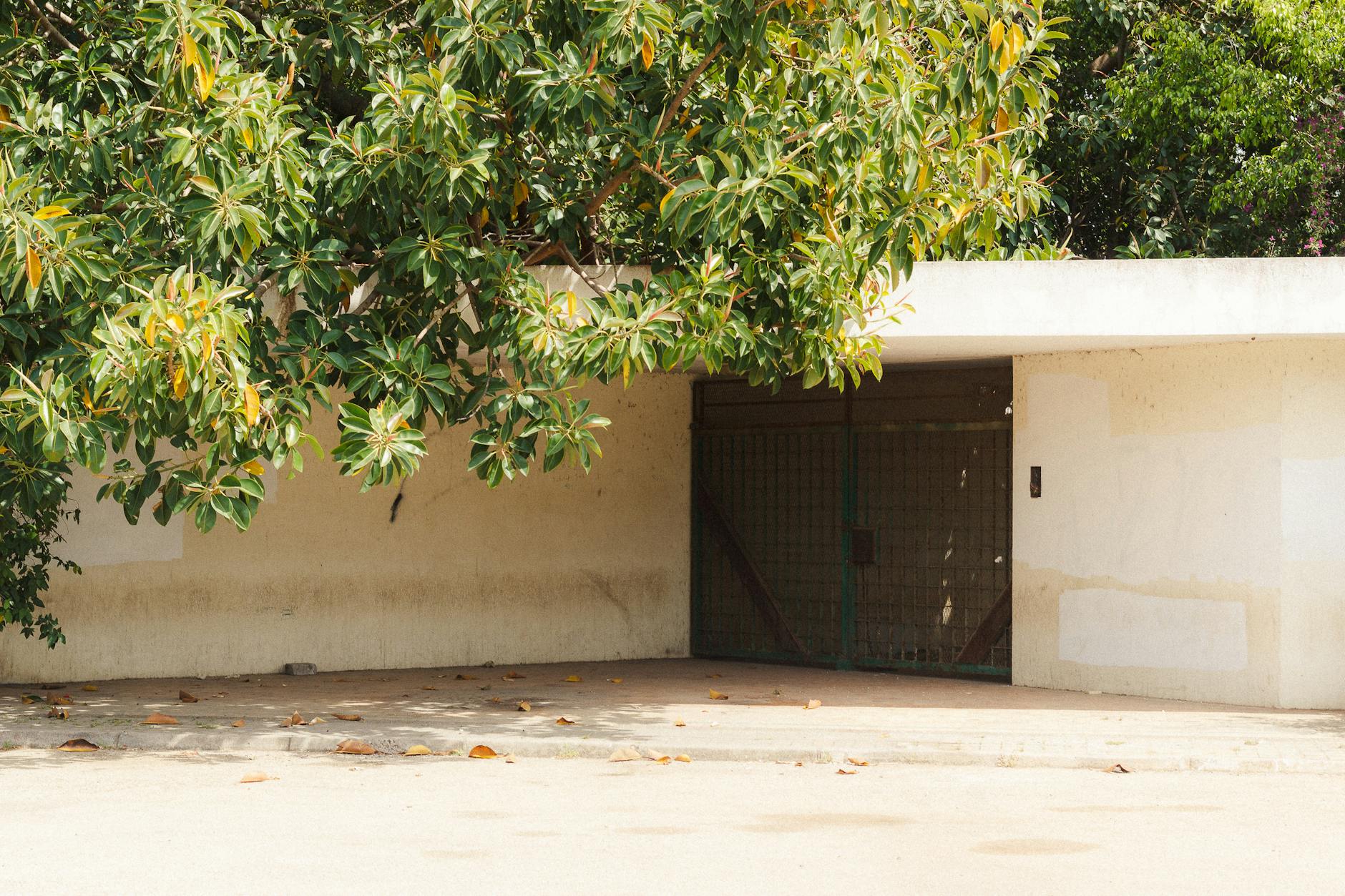 Nowoczesny betonowy garaż otoczony zielenią w słoneczny dzień